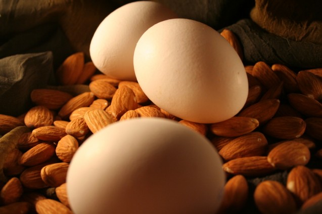Makanan kaya akan vitamin b12