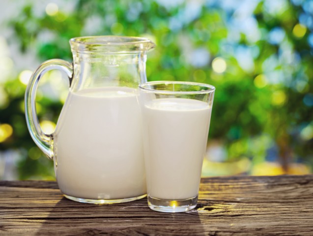 Minum susu